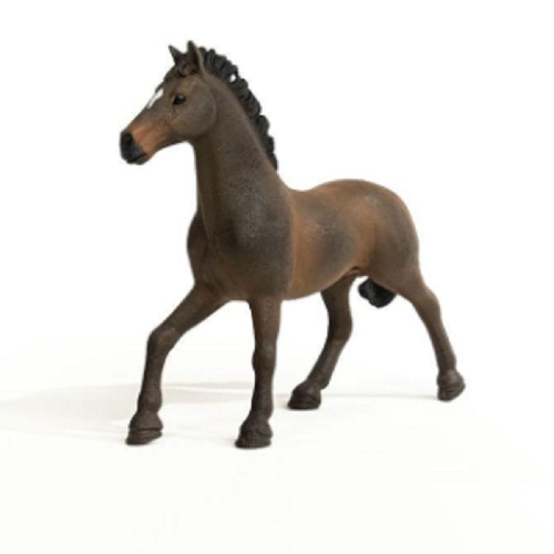 Horse Club: Oldenburger Stallion