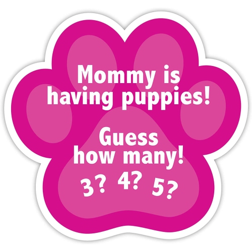 Puppy Surprise 12-inch Blossom, Stuffed Animal Dog and Babies, Toys for Kids, by Just Play