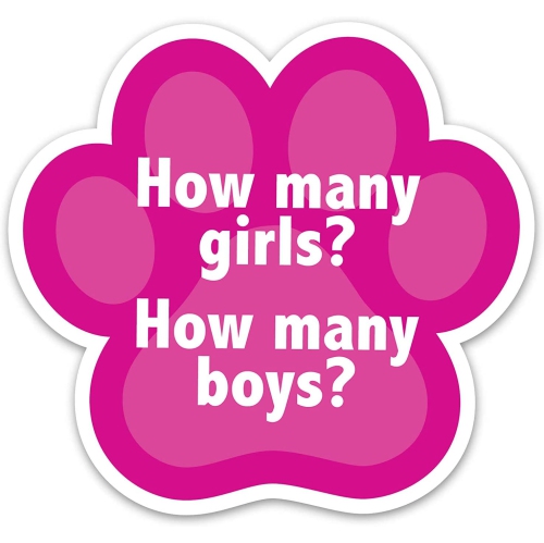 Puppy Surprise 12-inch Blossom, Stuffed Animal Dog and Babies, Toys for Kids, by Just Play