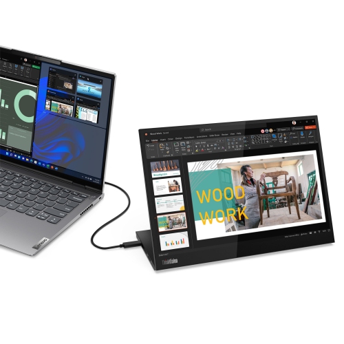 Lenovo ThinkVision 14 inch Portable Monitor - M14d