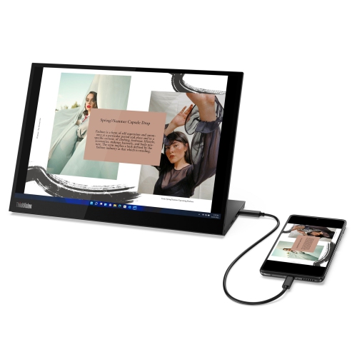 Lenovo ThinkVision 14 inch Portable Monitor - M14d