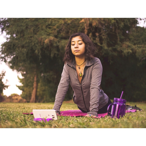 GoDonut Smartphone & Tablet Stand