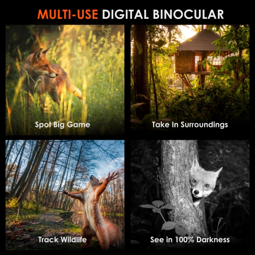 Jumelles numériques B1 Pro 4K à vision nocturne IR de Rexing - Noir