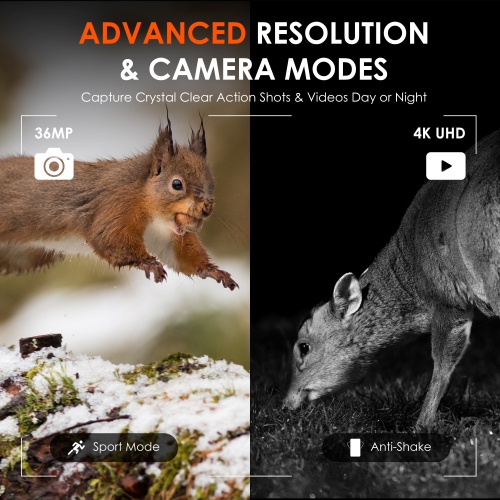 Jumelles numériques B1 Pro 4K à vision nocturne IR de Rexing - Noir
