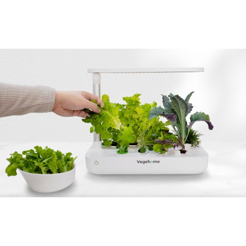 Vegehome Jardin Hydroponic Indoor Garden With 6 Pods Starter Kit