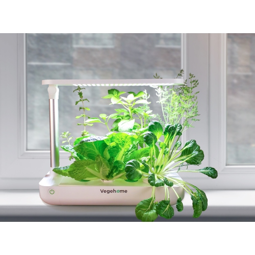 Vegehome Jardin Hydroponic Indoor Garden With 6 Pods Starter Kit