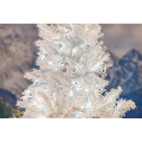 Novelty Lights 25ft Christmas String Lights, 50 LED Bulbs on White Wire, 6" Spacing, Connectable Indoor Outdoor Commercial Grade Lighting for