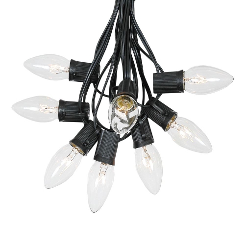 NOVELTY LIGHTS LLC  Novelty Lights 25 Foot C9 Twinkle Outdoor Patio Christmas String Light Set Wire, 25 Bulbs In Black