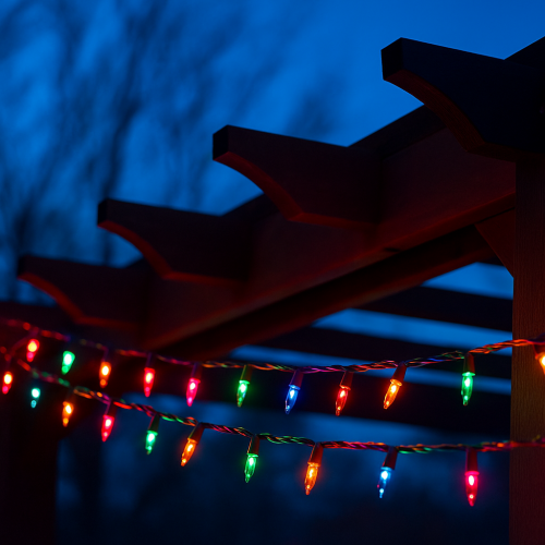 Novelty Lights 50 Feet 100 Bulbs Traditional Incandescent Mini Lights, Black Wire with 6" Spacing, Commercial Grade and UL Listed for Indoor/Outdoor