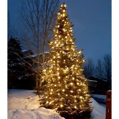 Novelty Lights 25 Pack C7 LED Filament Bulbs, Shatterproof Plastic Replacement Christmas Lights, E12 Base for Indoor/Outdoor Strings, Dimmable, 0.6W