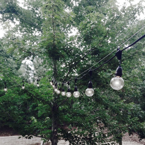 Novelty Lights G50 Glass LED Globe Bulbs, String Light Replacement Bulbs, E17 Intermediate Base, Energy Efficient Outdoor Patio Lighting