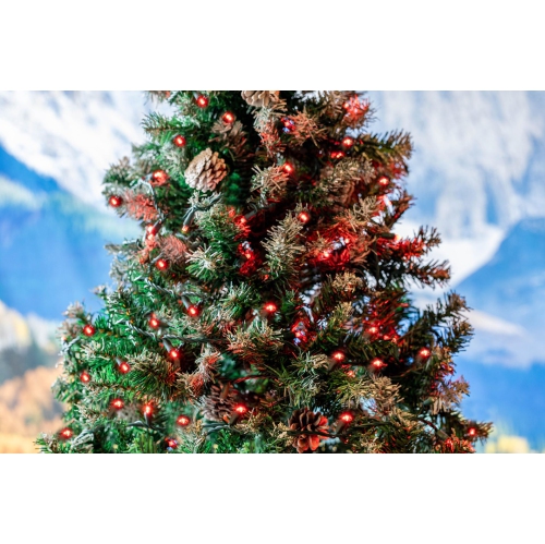 Novelty Lights 11ft Christmas String Lights, 50 LED Bulbs on Black Wire, 2.5" Spacing, Connectable Indoor Outdoor Commercial Grade Lighting for