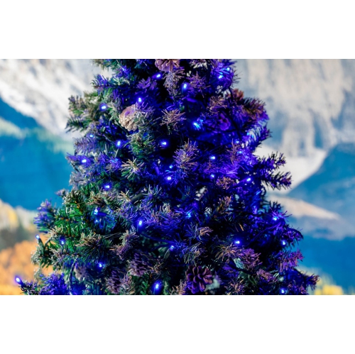 Guirlande de lumières de Noël 25&nbsp;pi de fantaisie, 50 ampoules LED sur fil noir, espacement de 6&nbsp;po, éclairage intérieur de qualité