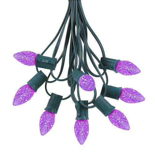NOVELTY LIGHTS LLC  Novelty Lights 25 Foot C7 Led Purple Christmas String Lights Wire In Green