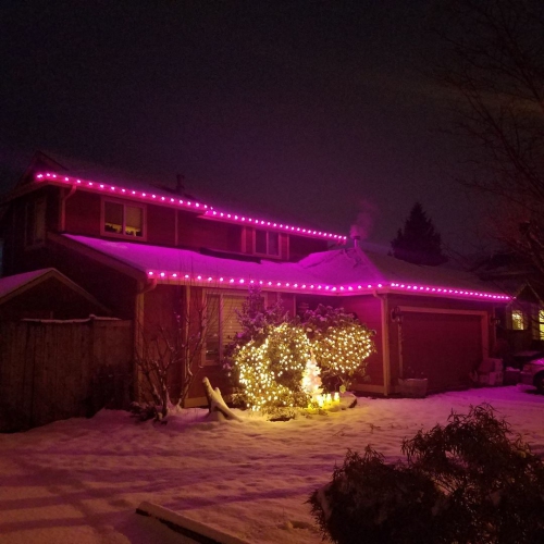 Novelty Lights 25 Pack C7 Outdoor Ceramic Christmas Replacement Bulbs, C7/E12 Candelabra Base, 5 Watt