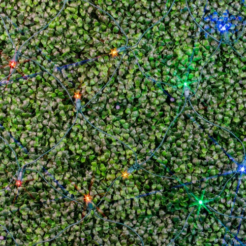 Novelty Lights 4x6 Net Lights, 100 LEDs with 4 Inch Spacing, 5mm Wide Angle Bulbs, Connectable End To End, Outdoor Weather Resistant Tree and Bush