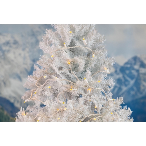 Guirlande de lumières de Noël 11 pi de fantaisie, 50 ampoules LED sur fil blanc, espacement de 2,5 po, éclairage intérieur de qualité