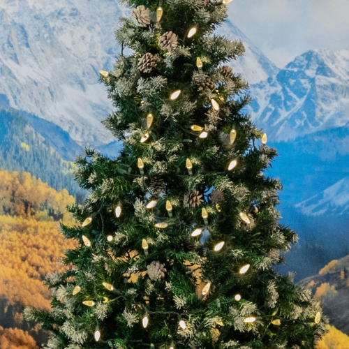 Novelty Lights 100 Light C6 LED Christmas Mini Light Set, Commercial Grade Outdoor String Lights, Green Wire, 50 Feet