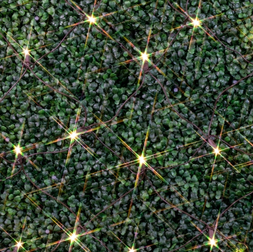 Lumières de fantaisie en filet 4 x 6, 100 DEL avec espacement de 4&nbsp;po, ampoules grand angle 5&nbsp;mm, connexion bout à bout, arbre résistant