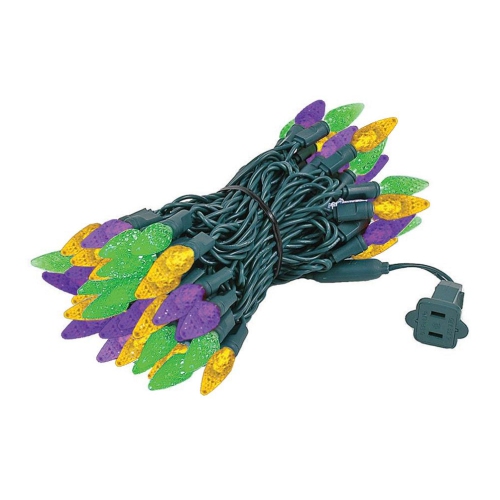 Lumières de fantaisie jeu de 70 lumières de Noël C6 DEL miniatures, jeu de lumières extérieures de qualité commerciale, fil vert, 24 pi