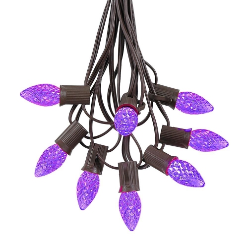 NOVELTY LIGHTS LLC  Novelty Lights 25 Foot C7 Led Outdoor Lighting Patio Christmas String Lights Wire, 25 Bulbs In Brown