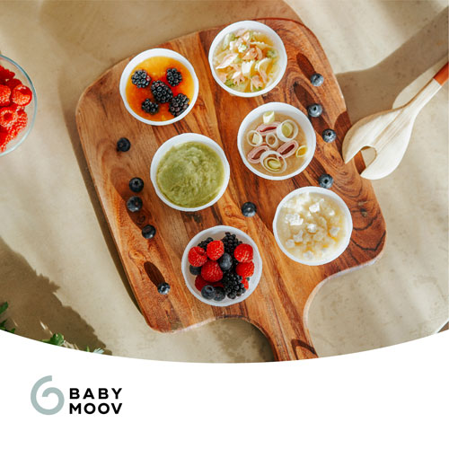 Bols de conservation biosourcés de 8,45 oz Babybowls de Babymoov - Ensemble de 8