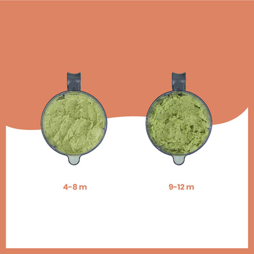 Babymoov Duo Meal Lite Food Processor - Grey