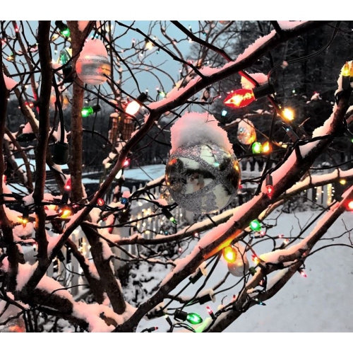 Novelty Lights 25 Pack C9 Outdoor Christmas Replacement Bulbs, E17/C9 Intermediate Base, 7 Watt