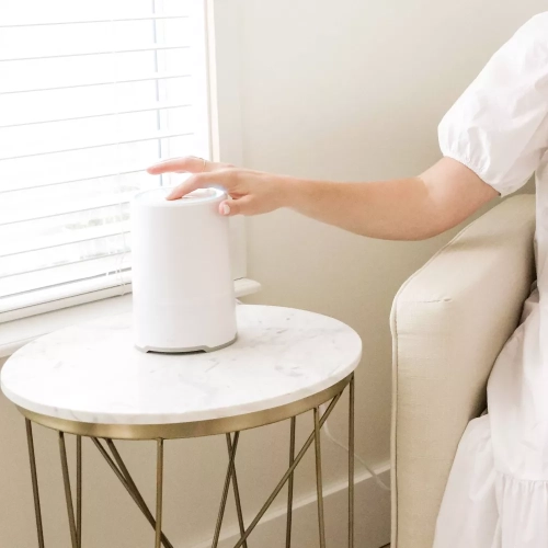 Frida Baby 3-in-1 Air Purifier