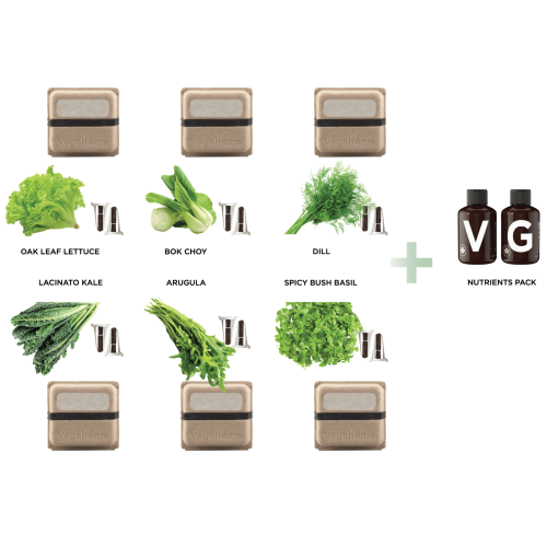 Vegehome Jardin Pro Hydroponic Indoor Garden with 12 Pods Starter Kit