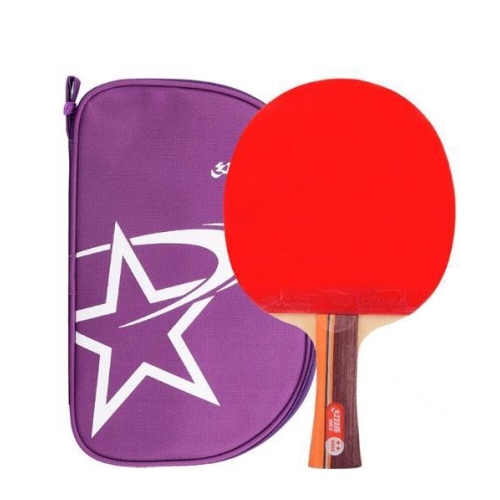 DHS T2002 Shakehand Racket Set