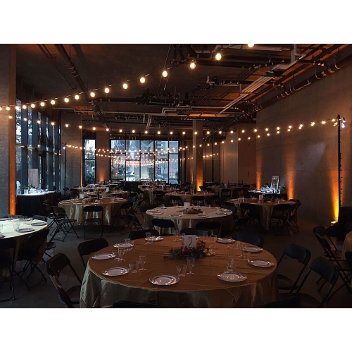 Novelty Lights 25 Pack G50 LED Light Bulbs, E17 C9 Intermediate Screw Base Shatterproof Outdoor String Lights Clear Globe Bulbs, Edison Light Bulbs