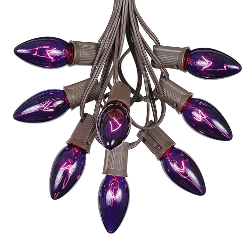 NOVELTY LIGHTS LLC  Novelty Lights 25 Foot C9 Twinkle Outdoor Patio Christmas String Light Set, Purple Wire, 25 Bulbs In Brown