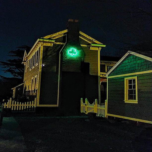 Novelty Lights Green LED Shamrock Rope Light Motif Sculpture, St. Patrick's Day Decoration