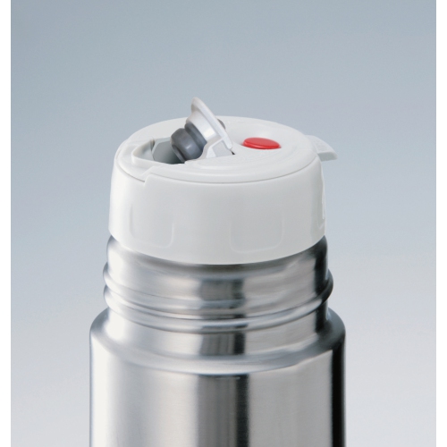 Zojirushi Stainless Bottle SV-GWE50, 17oz, Stainless Silver