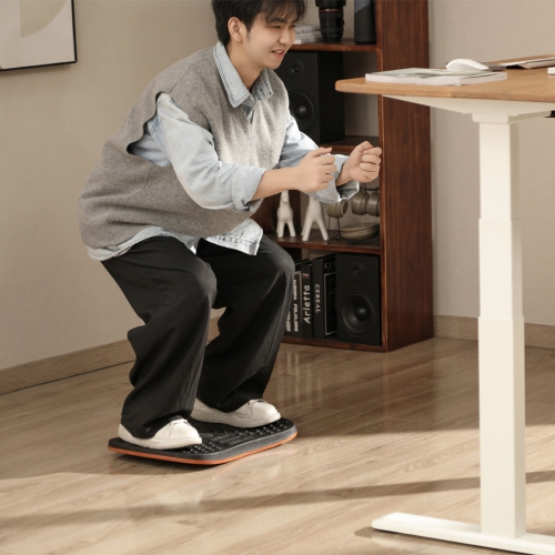 Desky Wobble Balance Board 360° Rotation & Anti-Slip Base