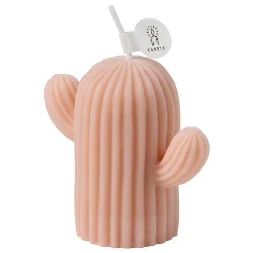 Bougie parfumée en forme de cactus avec parfum de sauge et de sel de mer