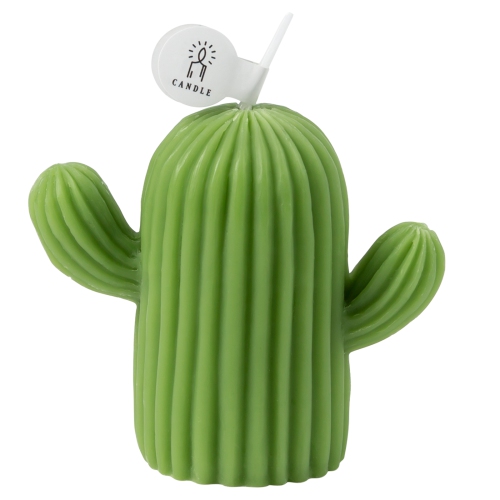 REJUUV  Cactus Shaped Scented Candle With And Sea Salt Fragrance In Sage