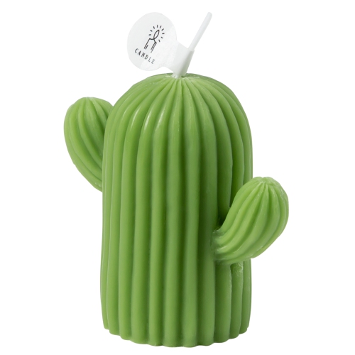 Cactus Shaped Scented Candle with Sage and Sea Salt Fragrance