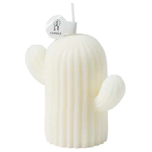 Bougie parfumée en forme de cactus avec parfum de sauge et de sel de mer