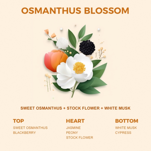 Scented Candles, Organic Soy Candles with Sculptured Plaster Container