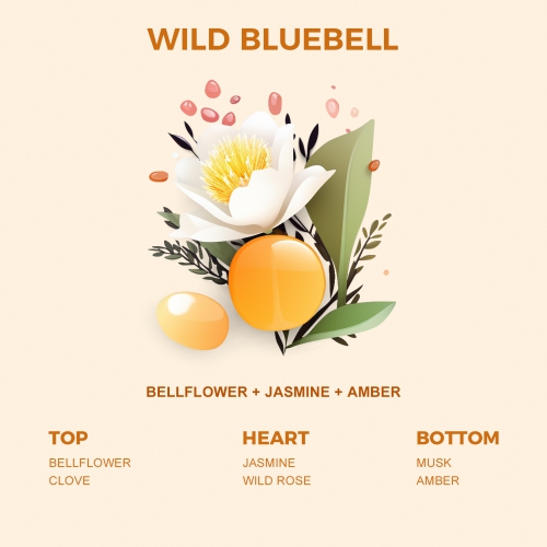 Scented Candles, Organic Soy Candles with Sculptured Plaster Container