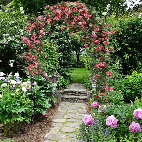 Gymax Garden Arch Arbor Trellis 7.5 ft Patio Pergola Plant Stand Rack Archway Wedding