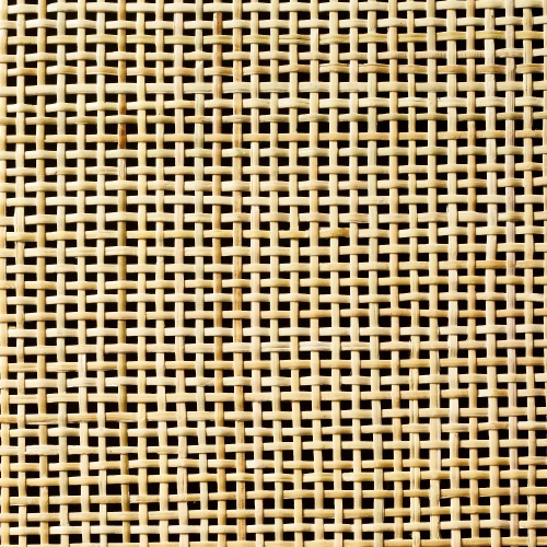 Springville Caned Door TV Stand