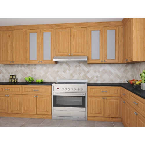 Ancona 36 in. Slim III Range Hood in Stainless Steel