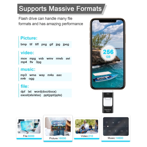 USB Flash Drive 256GB, Photo Stick Memory External Data Storage Thumb Drive Compatible with Phone, Pad, Android, PC and More Devices