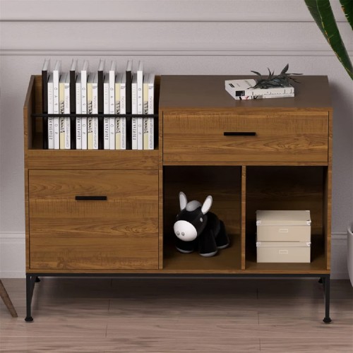 File Cabinet, 100 x 40 cm Lateral Filing Cabinet with 2 Drawers, Printer Stand, Open Storage Shelves for Home, Office