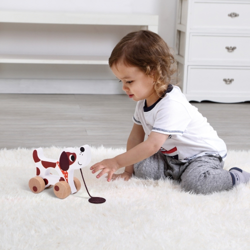 Ensemble de jouets d'apprentissage précoce de TOOKYLAND - Ensemble de jeu Montessori éducatif 6-en-1; jouets en bois pour tout-petits de 19-24 mois