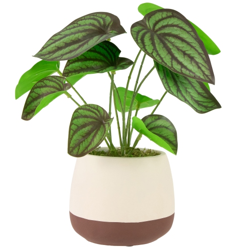 NORTHLIGHT  Artificial Peperomia Plant In Two-Tone Ceramic Pot - 10.25"