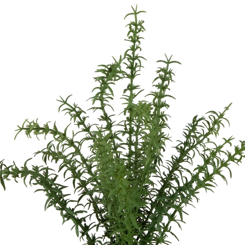 Plante de thym artificiel Real Touch™ en pot en céramique grise - 15 po